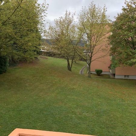 Mariposa 2 Appartement Bad Harzburg Buitenkant foto